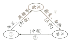 中考历史知识结构图题型专练 第9张 中考历史知识结构图题型专练 第9张