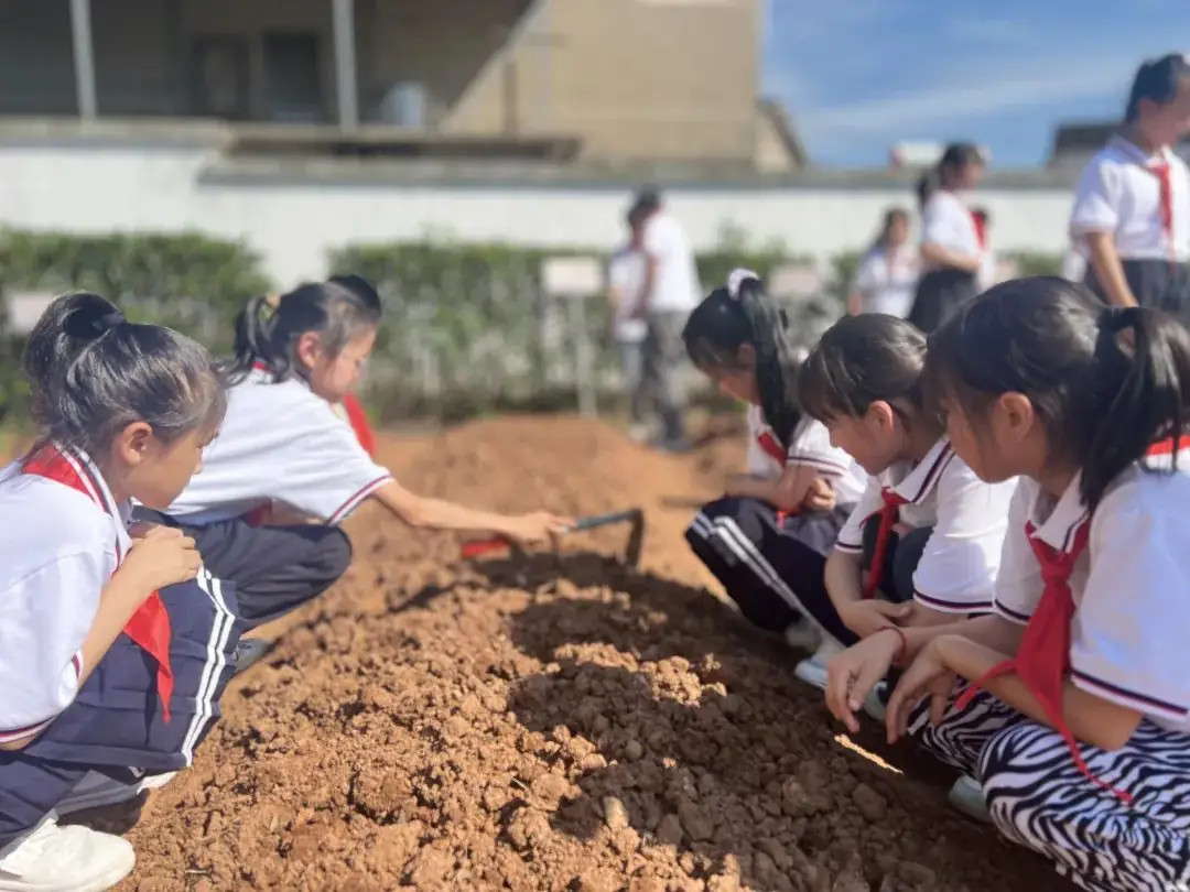 【儿童友好系列活动】奕棋镇中心小学:深耕劳动教育 赋能学生成长(一百零七) 第7张 【儿童友好系列活动】奕棋镇中心小学:深耕劳动教育 赋能学生成长(一百零七) 第7张