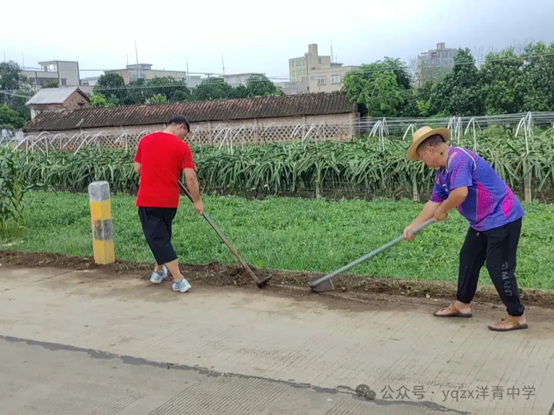 铲草护绿,清道助中考 第17张 铲草护绿,清道助中考 第17张