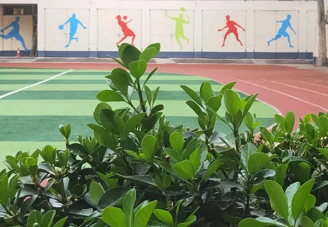 郑州优胜实验中学高考复读部(原郑州新世纪高考学校)2024年面向全省招生 第38张 郑州优胜实验中学高考复读部(原郑州新世纪高考学校)2024年面向全省招生 第38张