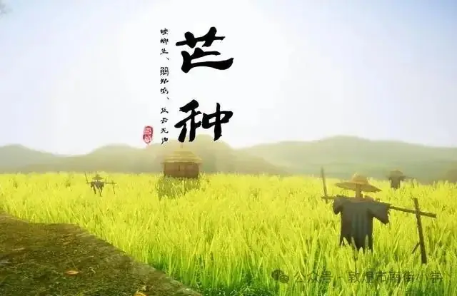 “时节·敦煌 传承有我”敦煌市南街小学开展二十四节气——芒种主题活动 第5张 “时节·敦煌 传承有我”敦煌市南街小学开展二十四节气——芒种主题活动 第5张