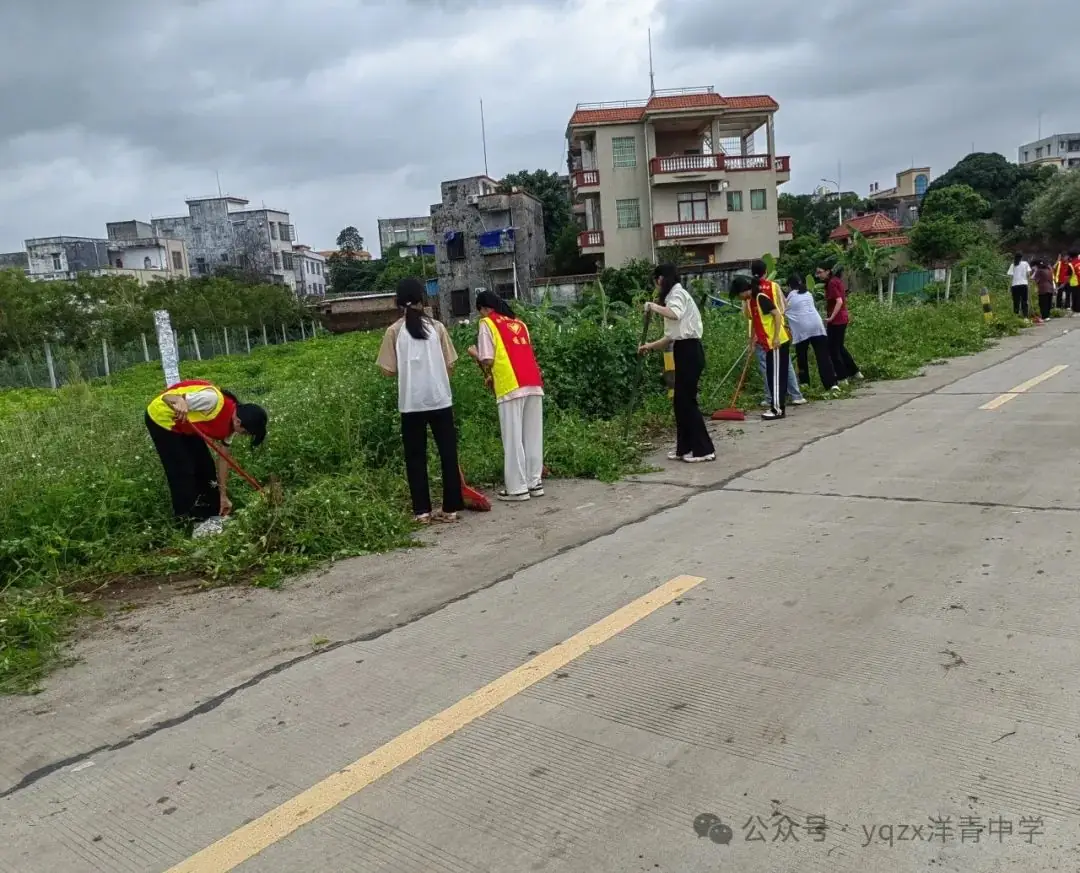 铲草护绿,清道助中考 第10张 铲草护绿,清道助中考 第10张