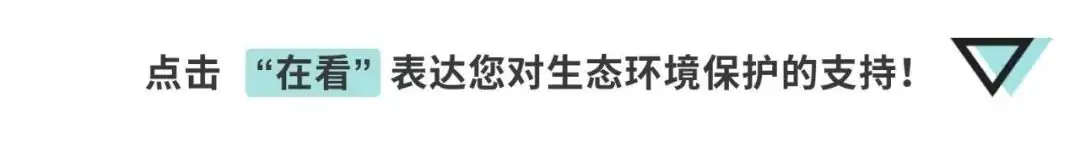 护航高中考|义安区副区长汪祥超开展“禁噪”夜查 第5张 护航高中考|义安区副区长汪祥超开展“禁噪”夜查 第5张