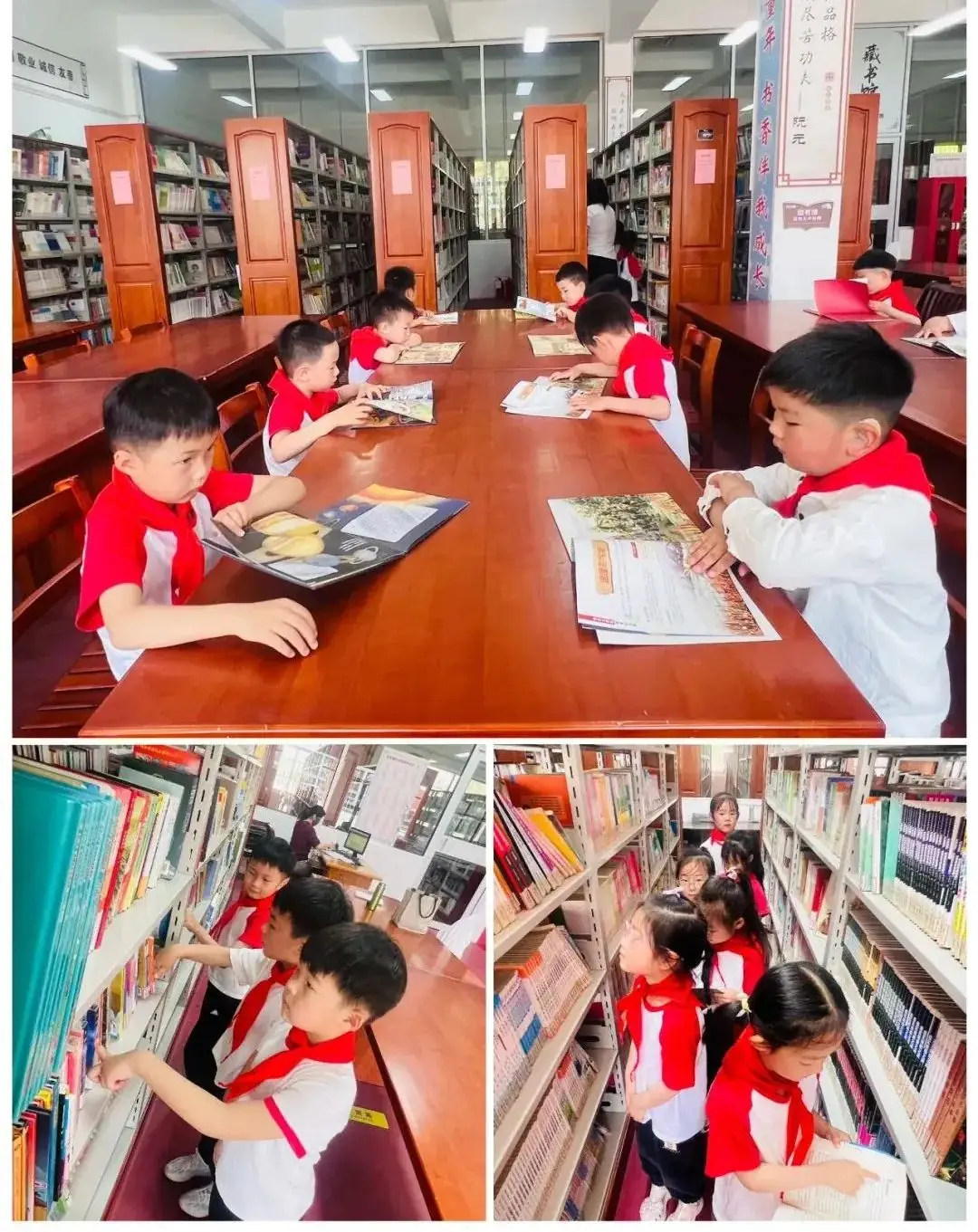 初探小学 “幼”见成长——记响水君成幼儿园大班幼儿参观小学活动 第33张 初探小学 “幼”见成长——记响水君成幼儿园大班幼儿参观小学活动 第33张