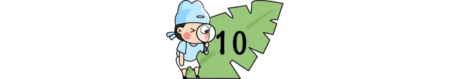 小学作文最令人满意的10种开头,尤其第1种,高分学生都在用! 第10张 小学作文最令人满意的10种开头,尤其第1种,高分学生都在用! 第10张