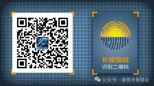 ＂部编版小学语文期末试卷曝光,挑战你的知识极限!＂ 第3张