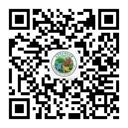 大王古庄中心小学2024年端午假期放假安排及安全提示 第12张 大王古庄中心小学2024年端午假期放假安排及安全提示 第12张
