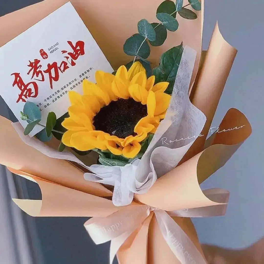 【高考加油】以梦为马 不负韶华 第5张