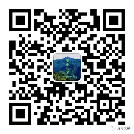 刘翔||芒种时节,高考之际 第6张 刘翔||芒种时节,高考之际 第6张
