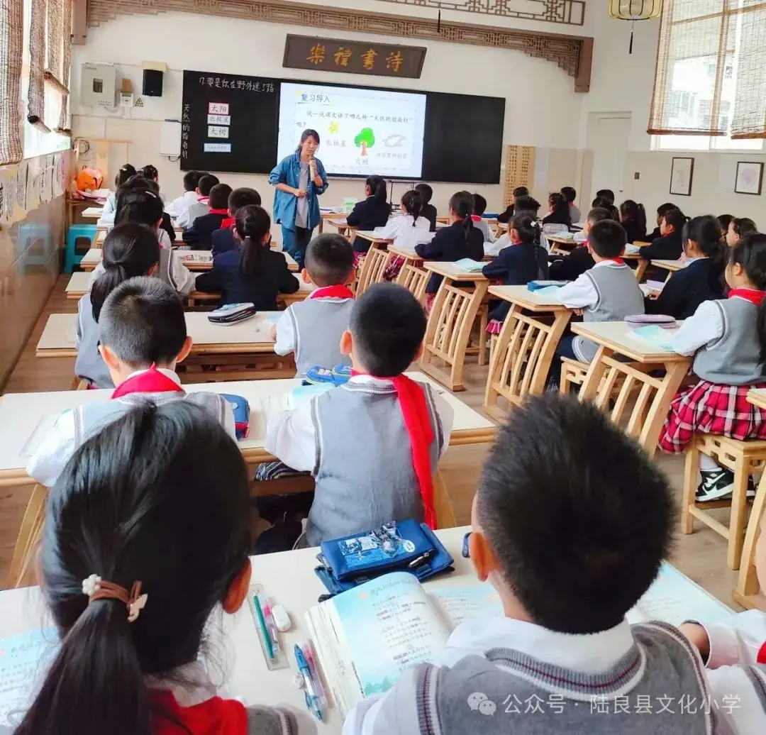 “集”聚全力 有“备”而行——文化小学2024年春季学期二年级语文组集体备课研讨活动 第8张 “集”聚全力 有“备”而行——文化小学2024年春季学期二年级语文组集体备课研讨活动 第8张
