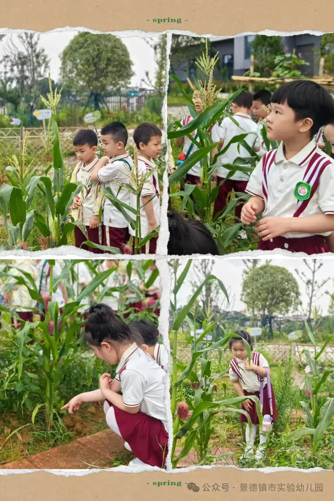 幼小衔接——景德镇市实验幼儿园 ·参观小学活动· 第22张 幼小衔接——景德镇市实验幼儿园 ·参观小学活动· 第22张