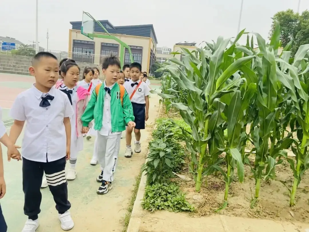 探秘小学  “幼”见成长 第18张