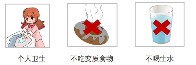 【石小——平安校园】石狮市蚶江镇石湖小学2024年“端午节”安全告家长书 第10张