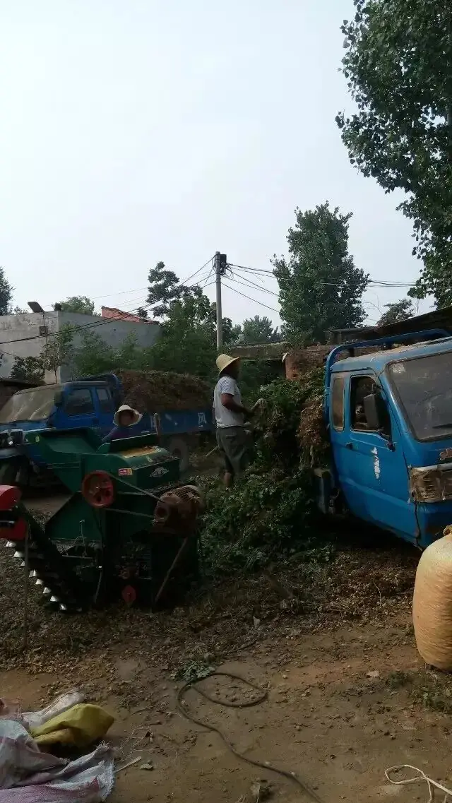 又是一年高考时 第4张 又是一年高考时 第4张