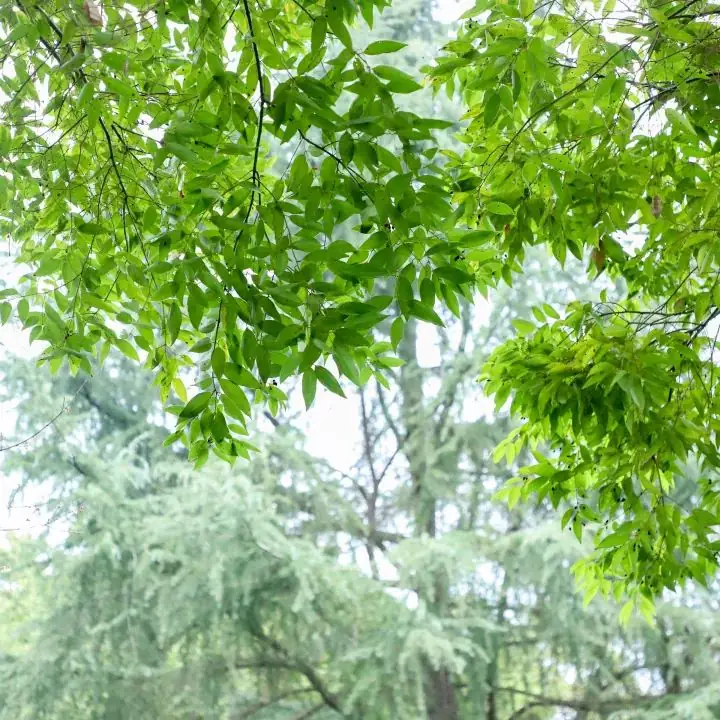 成都市双流区永安小学2024年6月教师招聘公告-第3张图片-四季读书网 成都市双流区永安小学2024年6月教师招聘公告-第3张图片-四季读书网