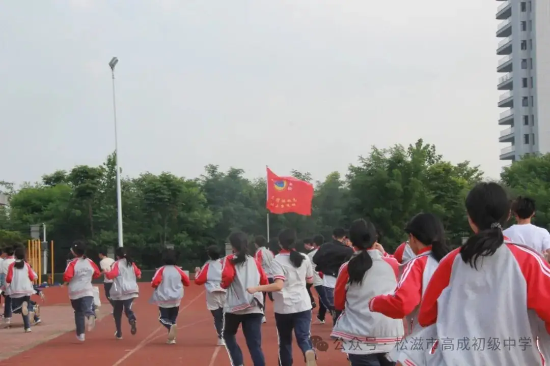 【中考在线】合欢花儿开 | 高成中学2024届毕业典礼暨中考壮行仪式 第71张 【中考在线】合欢花儿开 | 高成中学2024届毕业典礼暨中考壮行仪式 第71张