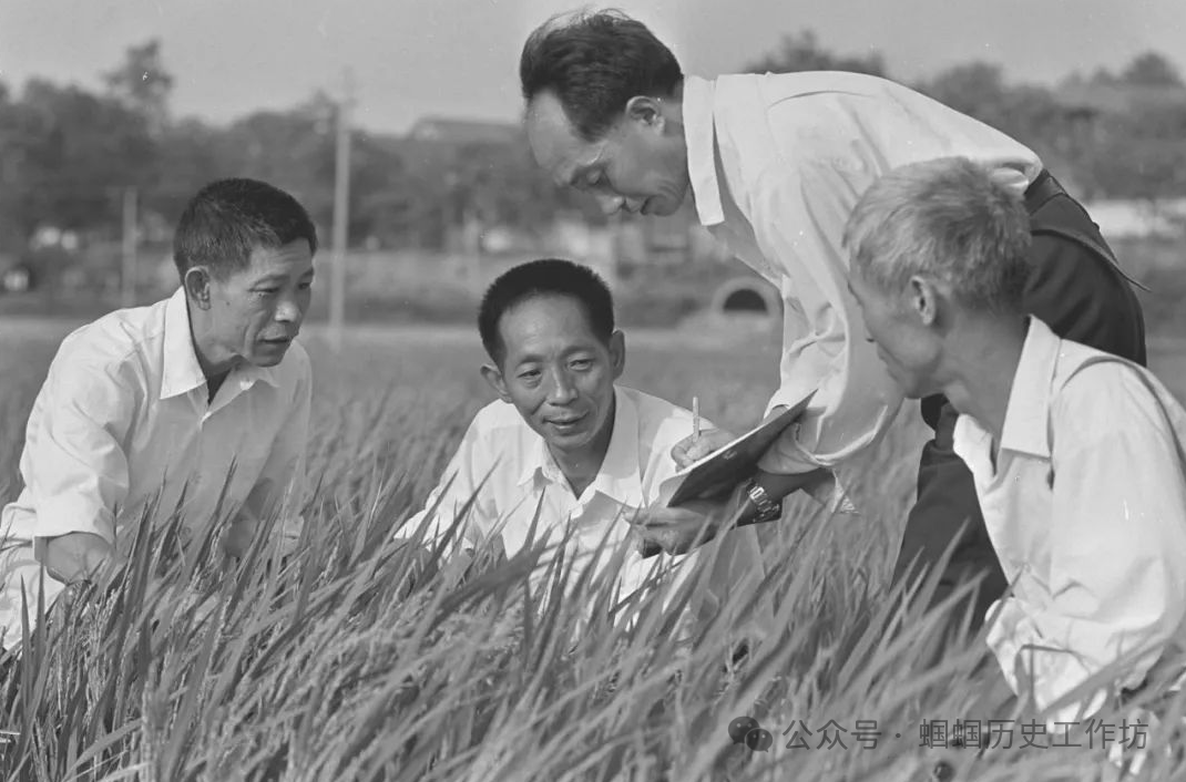 【2024年中考备考】历史小论文题型归纳与解题攻略 第16张 【2024年中考备考】历史小论文题型归纳与解题攻略 第16张