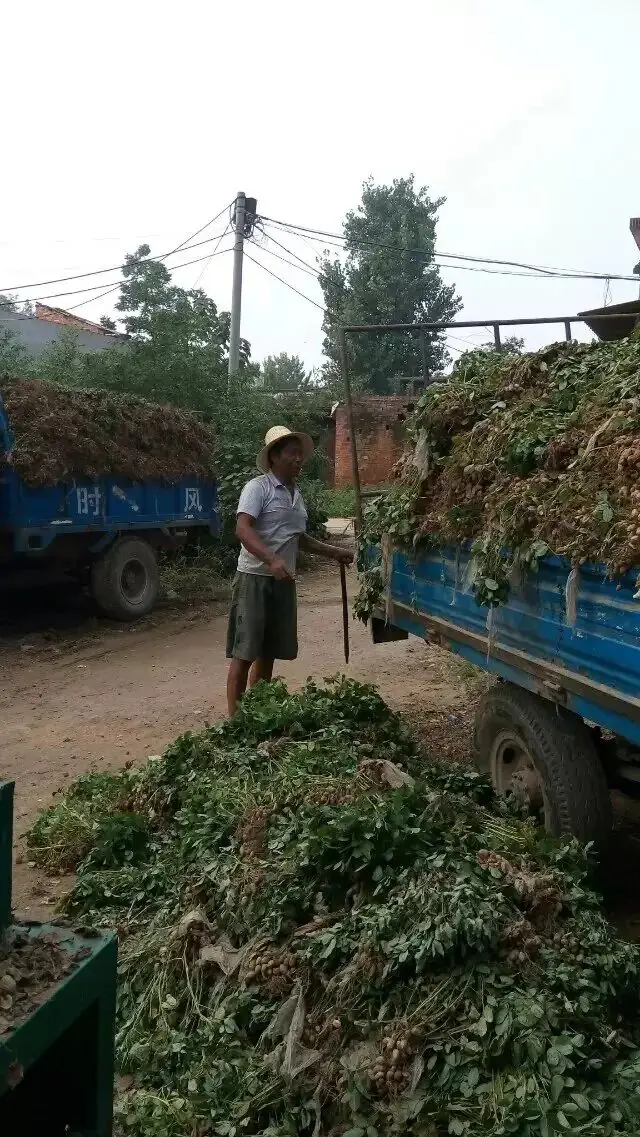 又是一年高考时 第3张 又是一年高考时 第3张