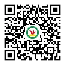 【三小·教学】“奔跑吧·少年”——第三小学举行2024年校园趣味运动会 第22张