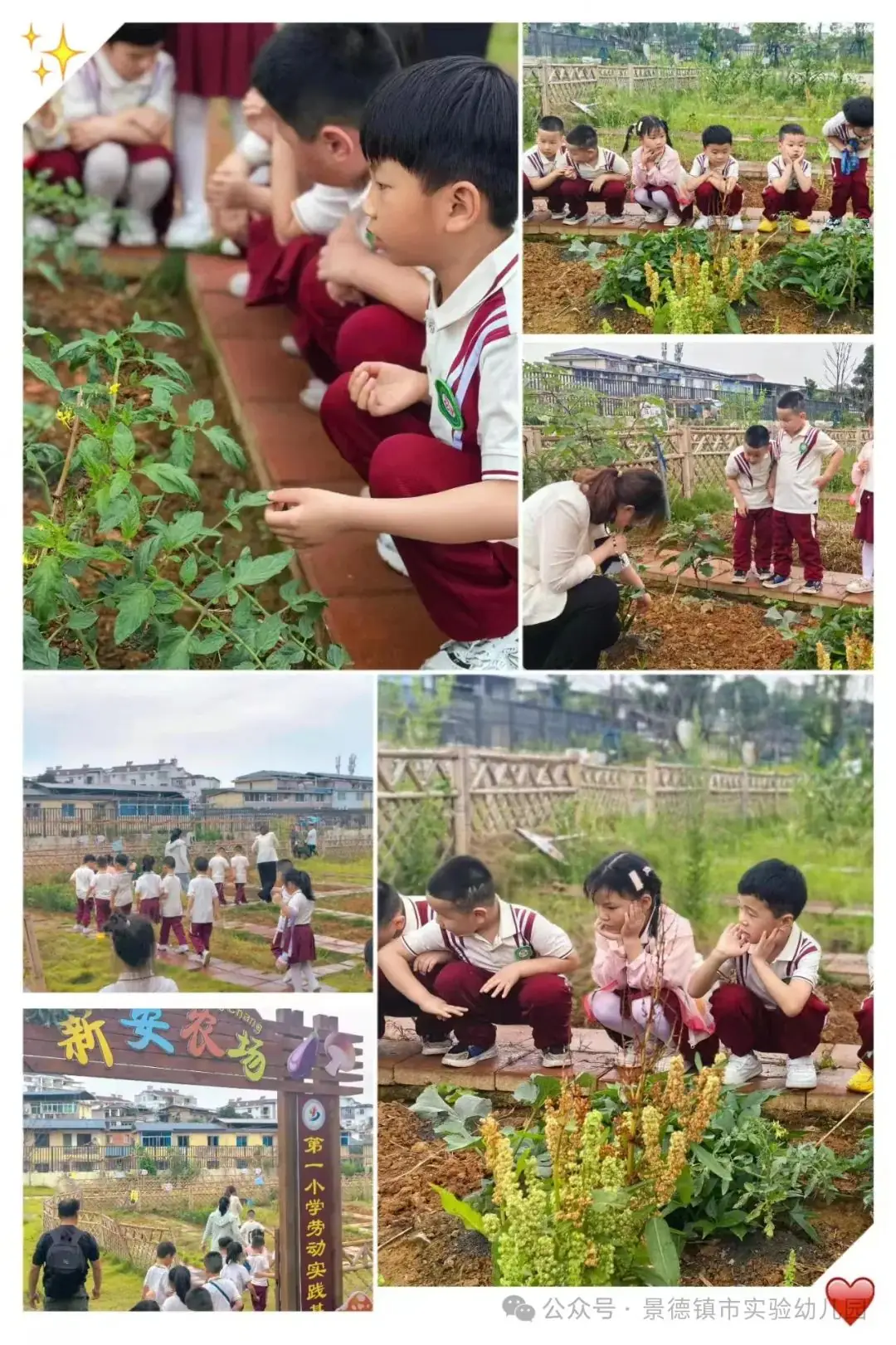 幼小衔接——景德镇市实验幼儿园 ·参观小学活动· 第21张 幼小衔接——景德镇市实验幼儿园 ·参观小学活动· 第21张