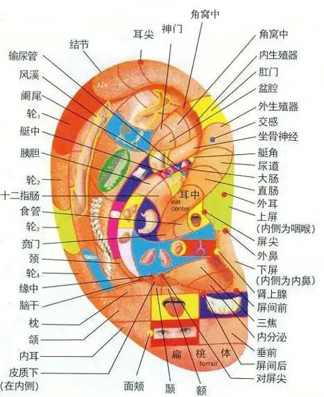 为中考助力 | 考前别紧张 耳穴来帮忙 第5张