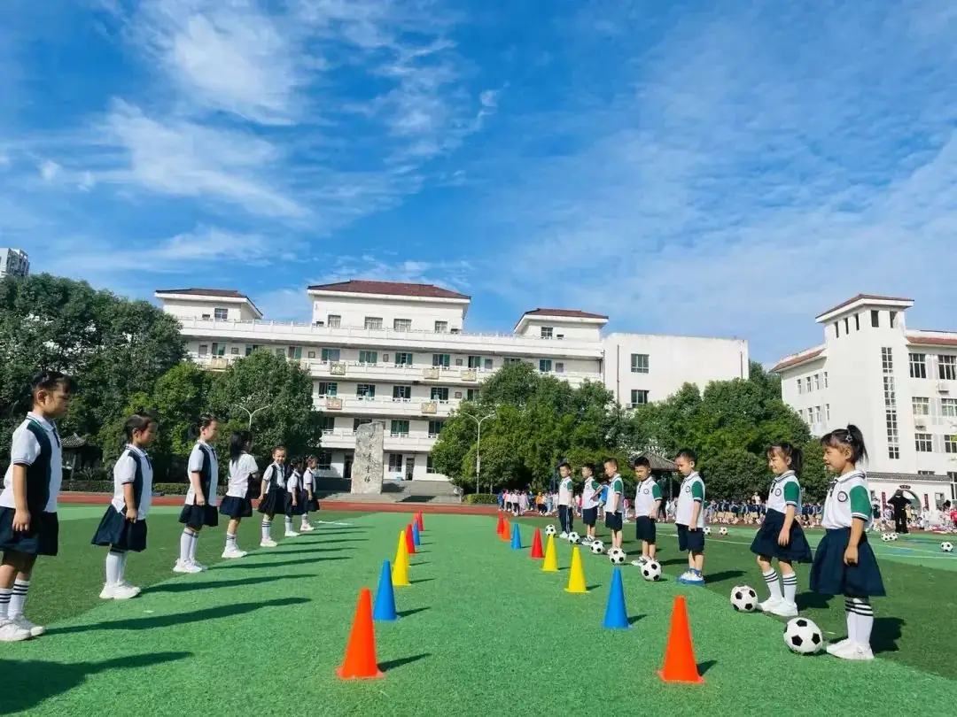 【招生公告】龙江小学附属幼儿园2024年秋季开始招生啦! 第47张 【招生公告】龙江小学附属幼儿园2024年秋季开始招生啦! 第47张