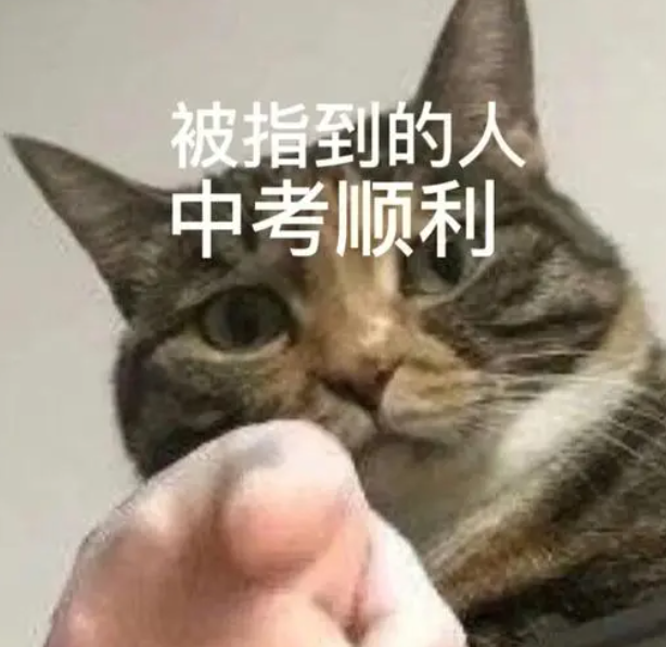 2024中考超12.6万人报名!普高率达71.91%!?最全数据分析给你看! 第10张