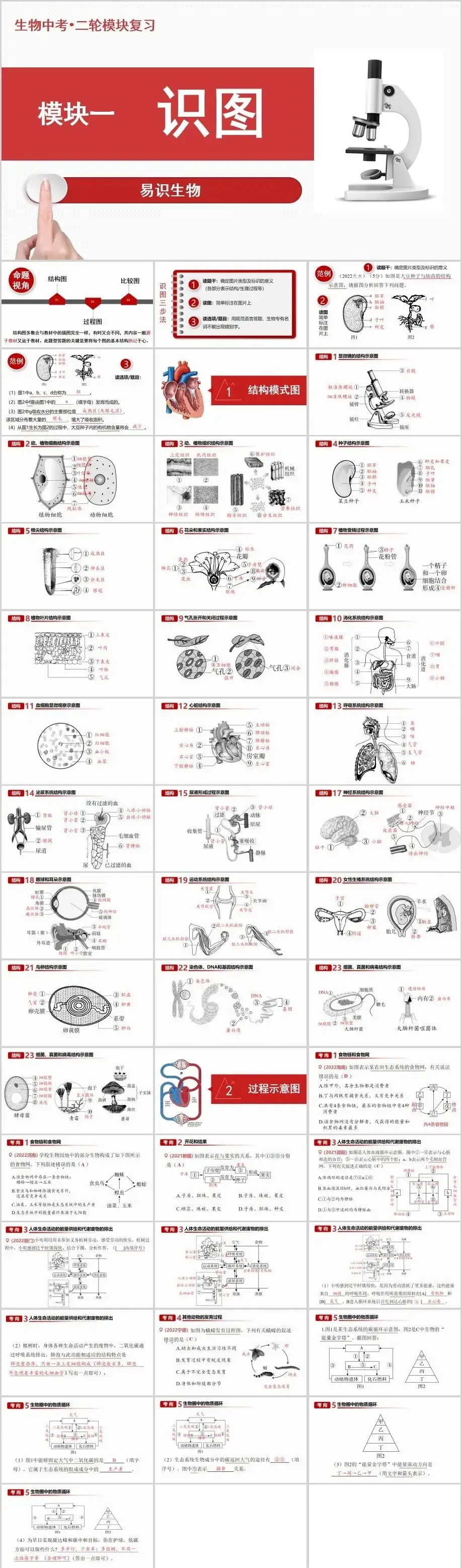 中考生物二轮复习课件 第2张 中考生物二轮复习课件 第2张