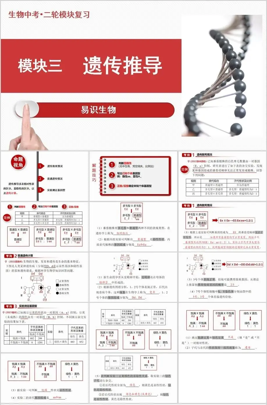 中考生物二轮复习课件 第4张 中考生物二轮复习课件 第4张