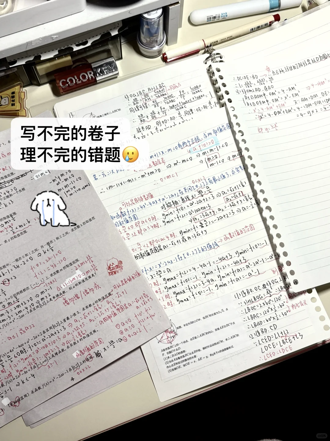🎐初三Plog |苦难是花开的伏笔🖇️🌷 第11张 🎐初三Plog |苦难是花开的伏笔🖇️🌷 第11张