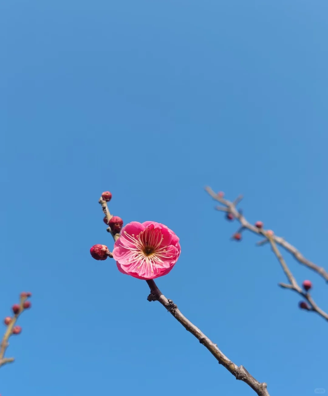 中考倒计时，一位母亲心声 第1张