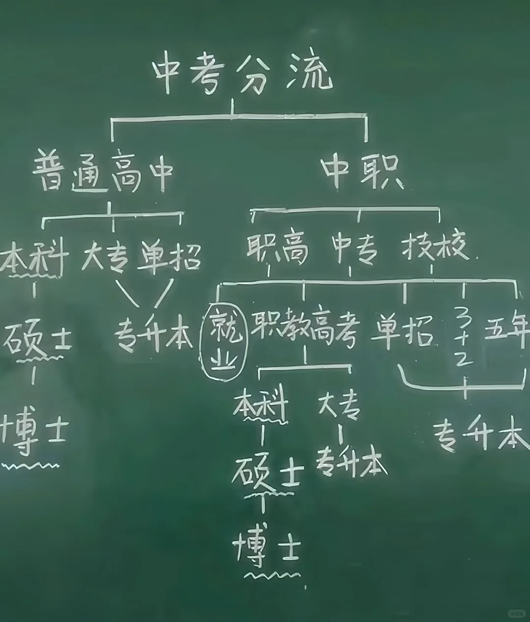 中考分流的残酷真相!…. 第1张 中考分流的残酷真相!…. 第1张