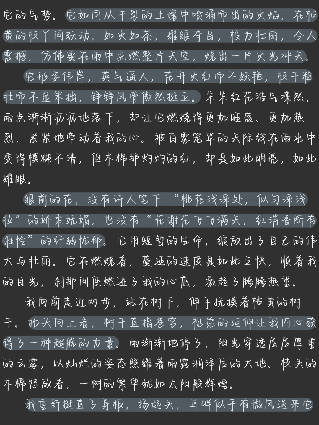 征文分享|抬头 有光🍂 第3张 征文分享|抬头 有光🍂 第3张