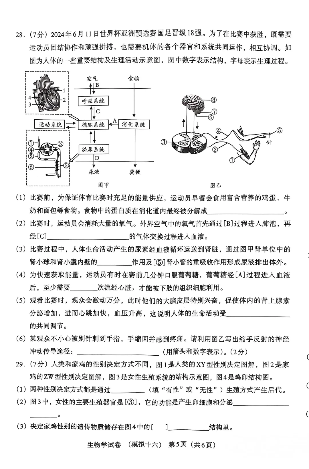 河北中考模拟卷|聪明出于勤奋，加油鸭-第6张图片-四季读书网
