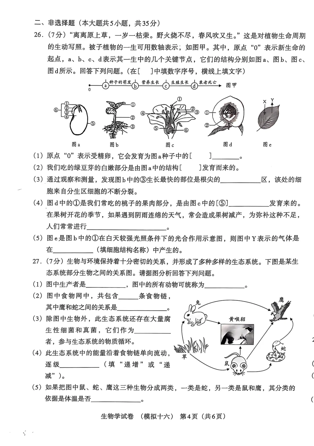 河北中考模拟卷|聪明出于勤奋，加油鸭-第5张图片-四季读书网