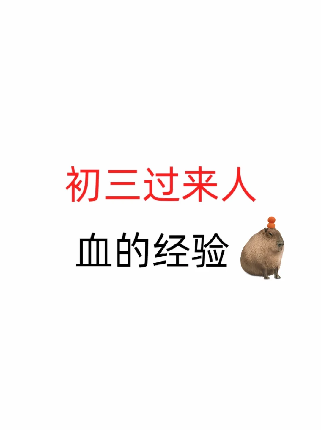 初三过来人血的经验分享！！！-第1张图片-四季读书网