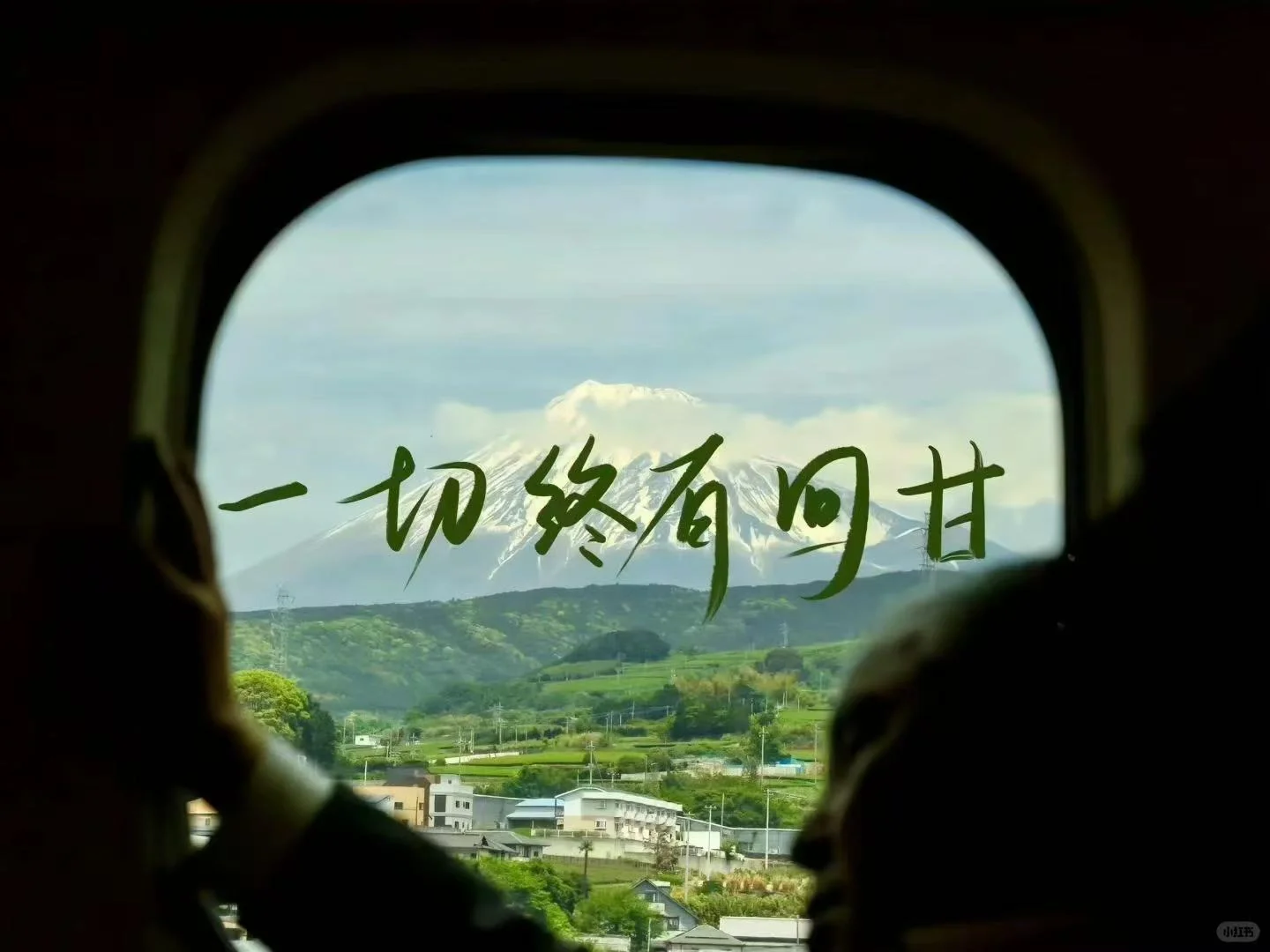 《我不祝你中考顺利》-第4张图片-四季读书网