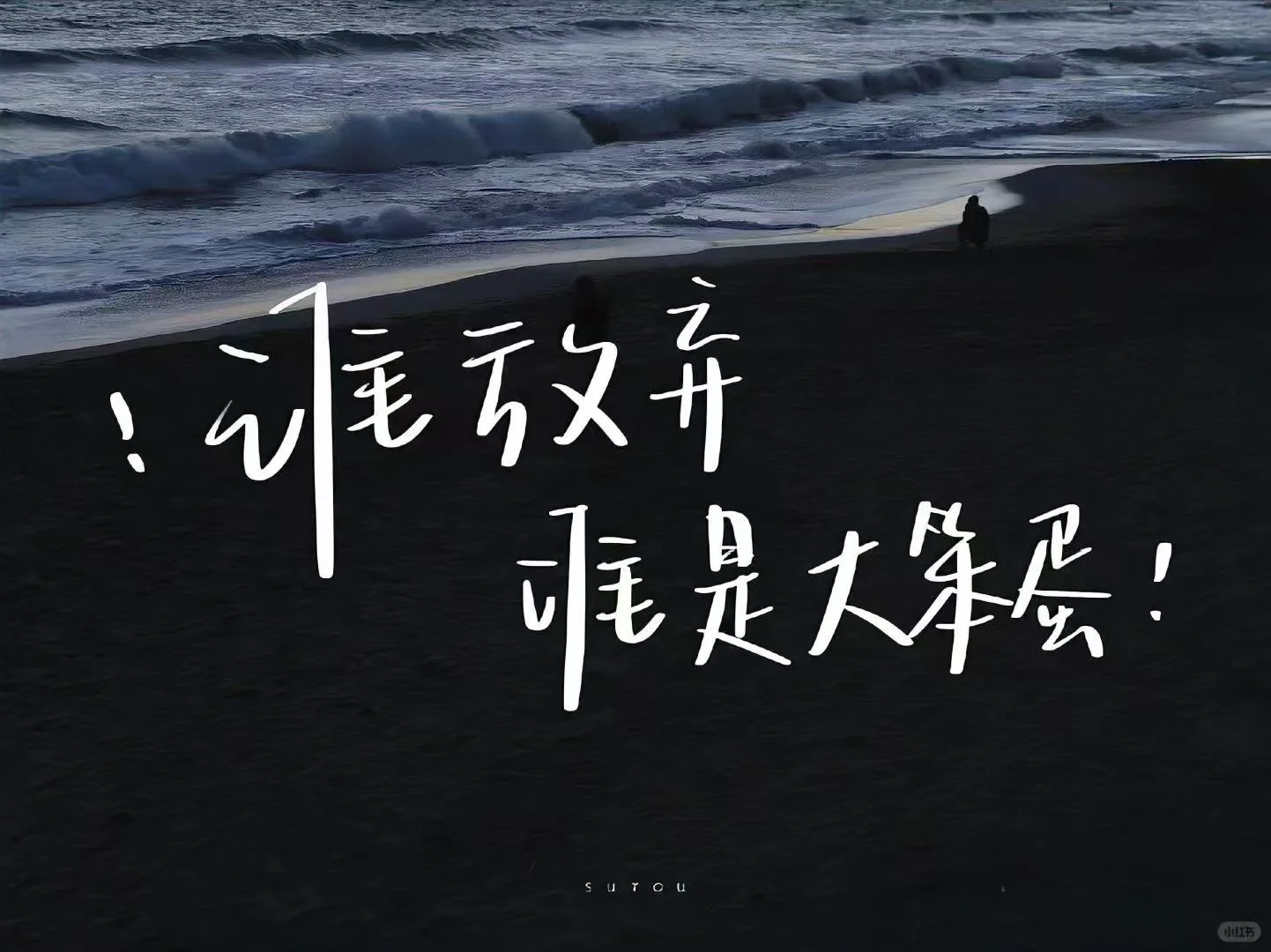 《我不祝你中考顺利》-第3张图片-四季读书网