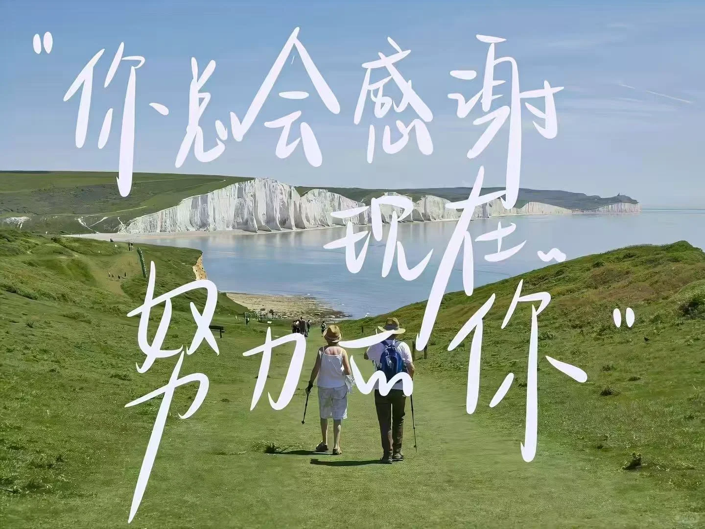 《我不祝你中考顺利》-第1张图片-四季读书网