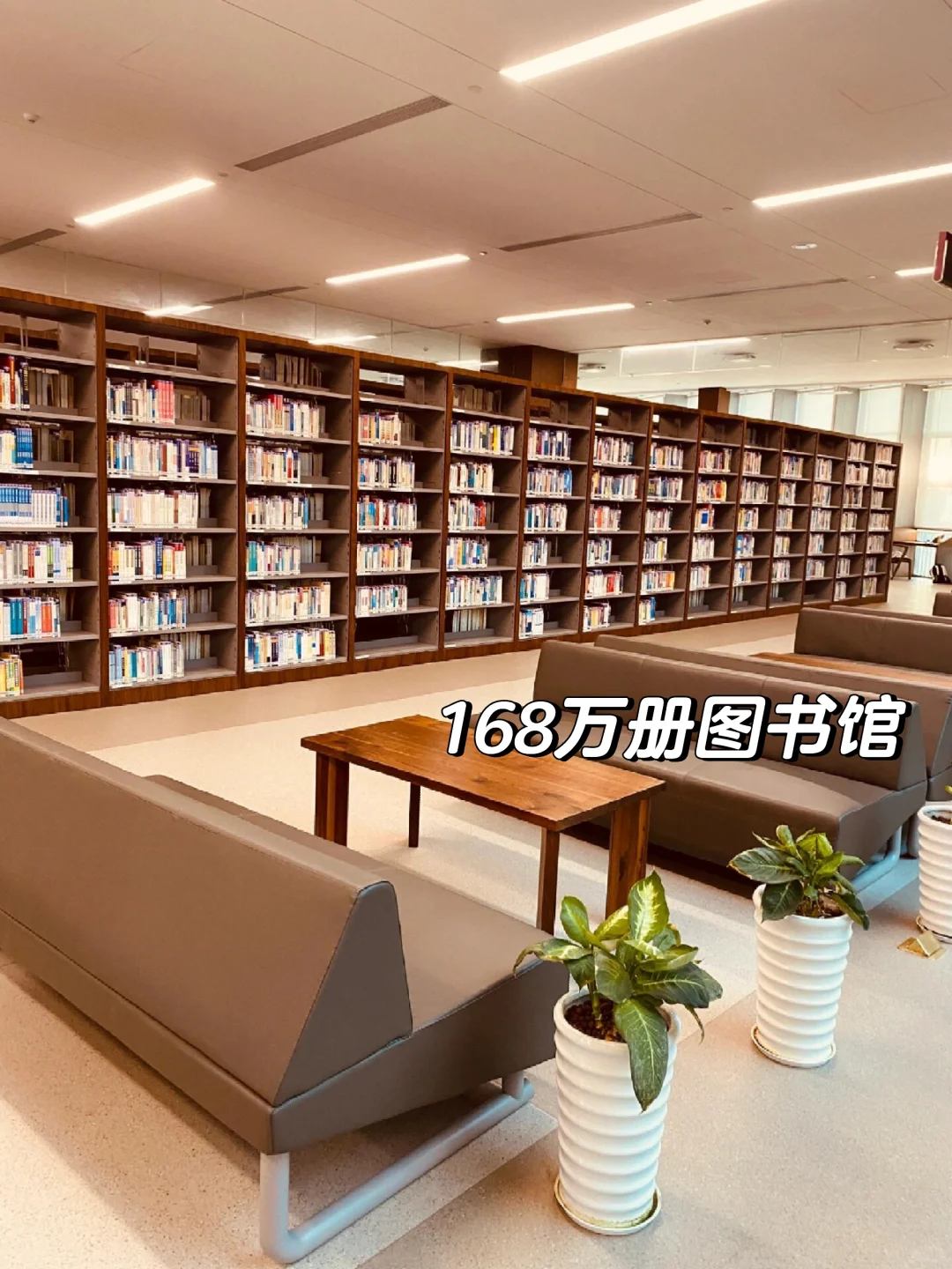 中考落榜无需自卑！读我们学校不丢人-第5张图片-四季读书网