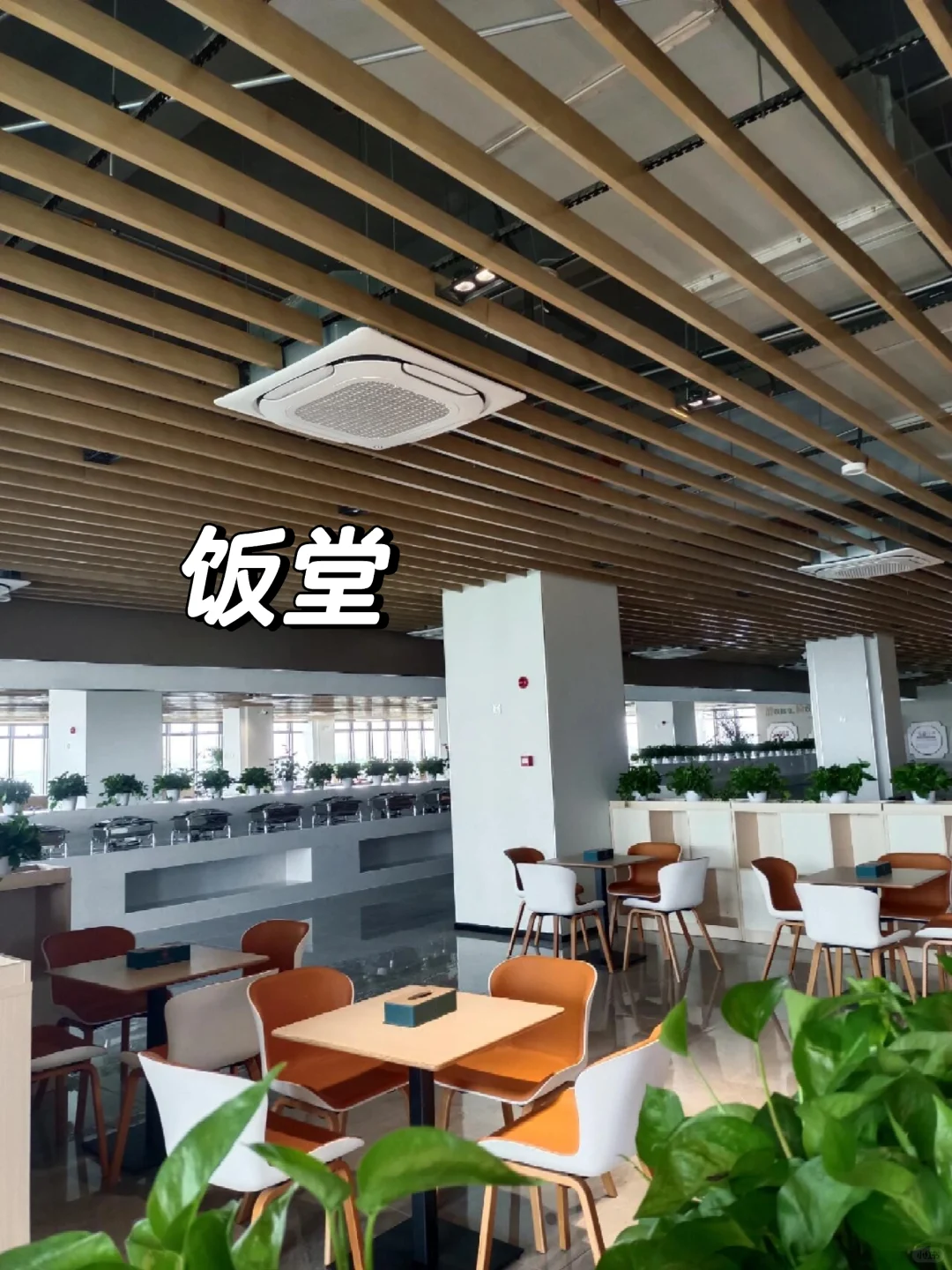 中考落榜无需自卑！读我们学校不丢人-第10张图片-四季读书网