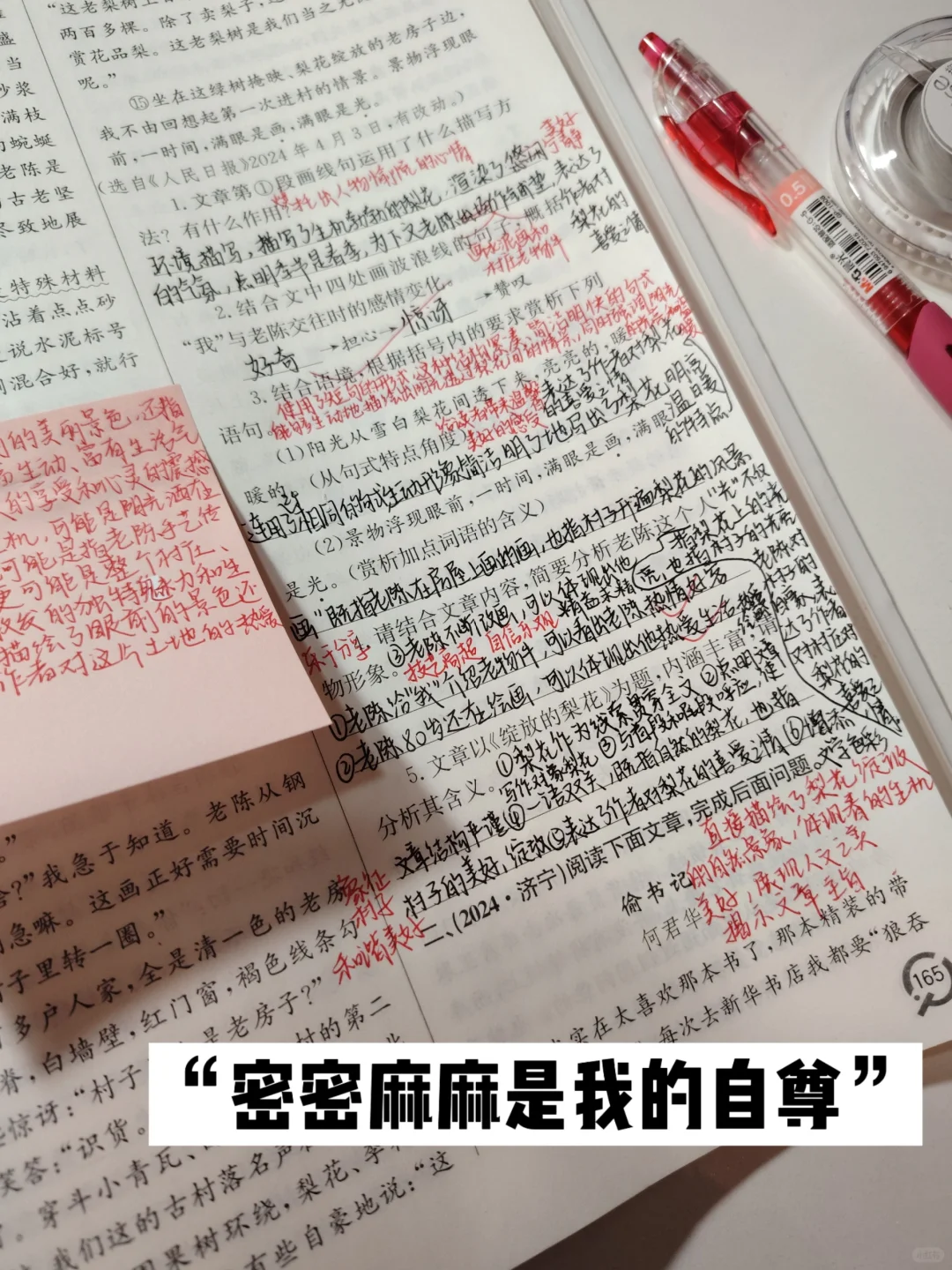25中考|密密麻麻是我的自尊🪶-第4张图片-四季读书网 25中考|密密麻麻是我的自尊🪶-第4张图片-四季读书网