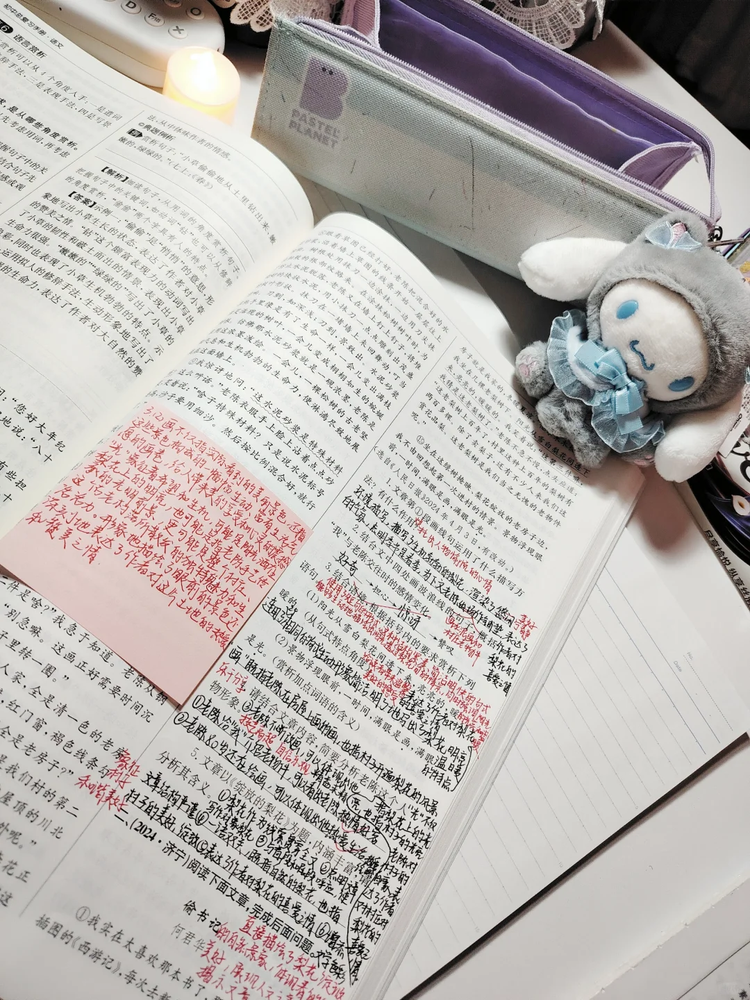 25中考|密密麻麻是我的自尊🪶-第2张图片-四季读书网 25中考|密密麻麻是我的自尊🪶-第2张图片-四季读书网