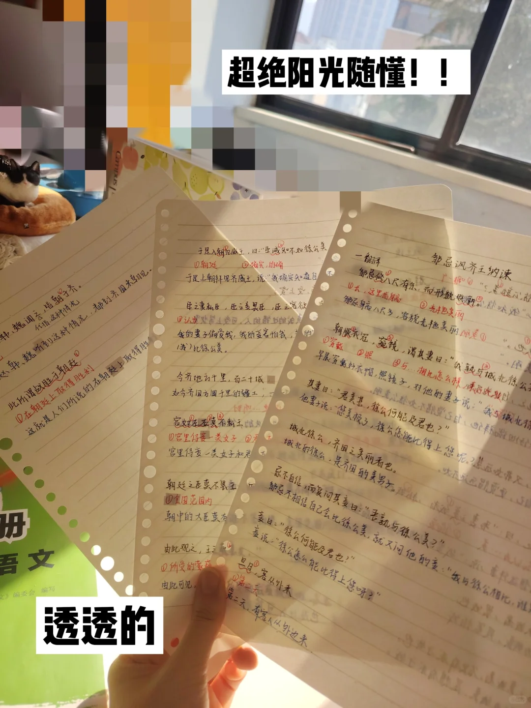 25中考|密密麻麻是我的自尊🪶-第7张图片-四季读书网 25中考|密密麻麻是我的自尊🪶-第7张图片-四季读书网