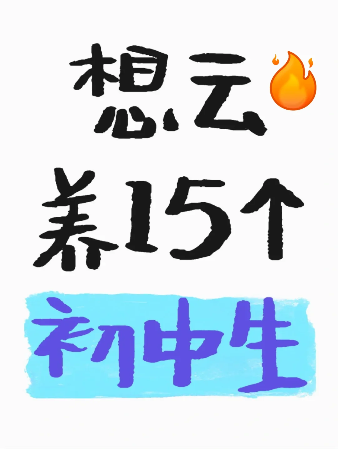 想云养15个初中生! 第1张 想云养15个初中生! 第1张