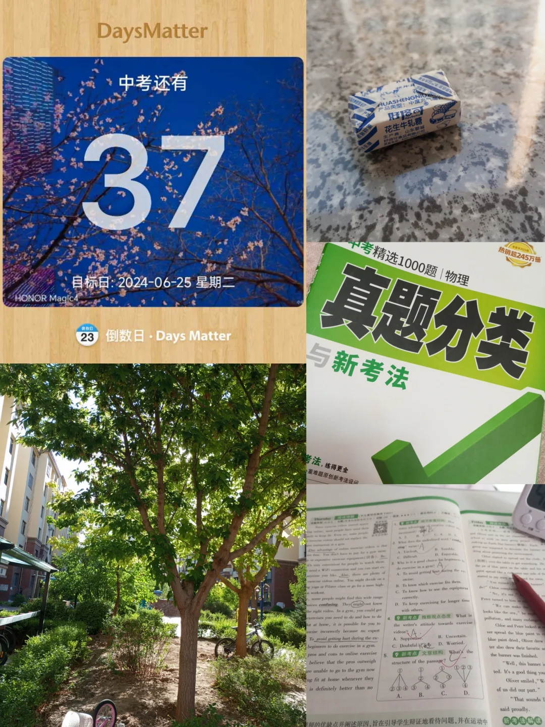 距离中考还有37天啦-第2张图片-四季读书网