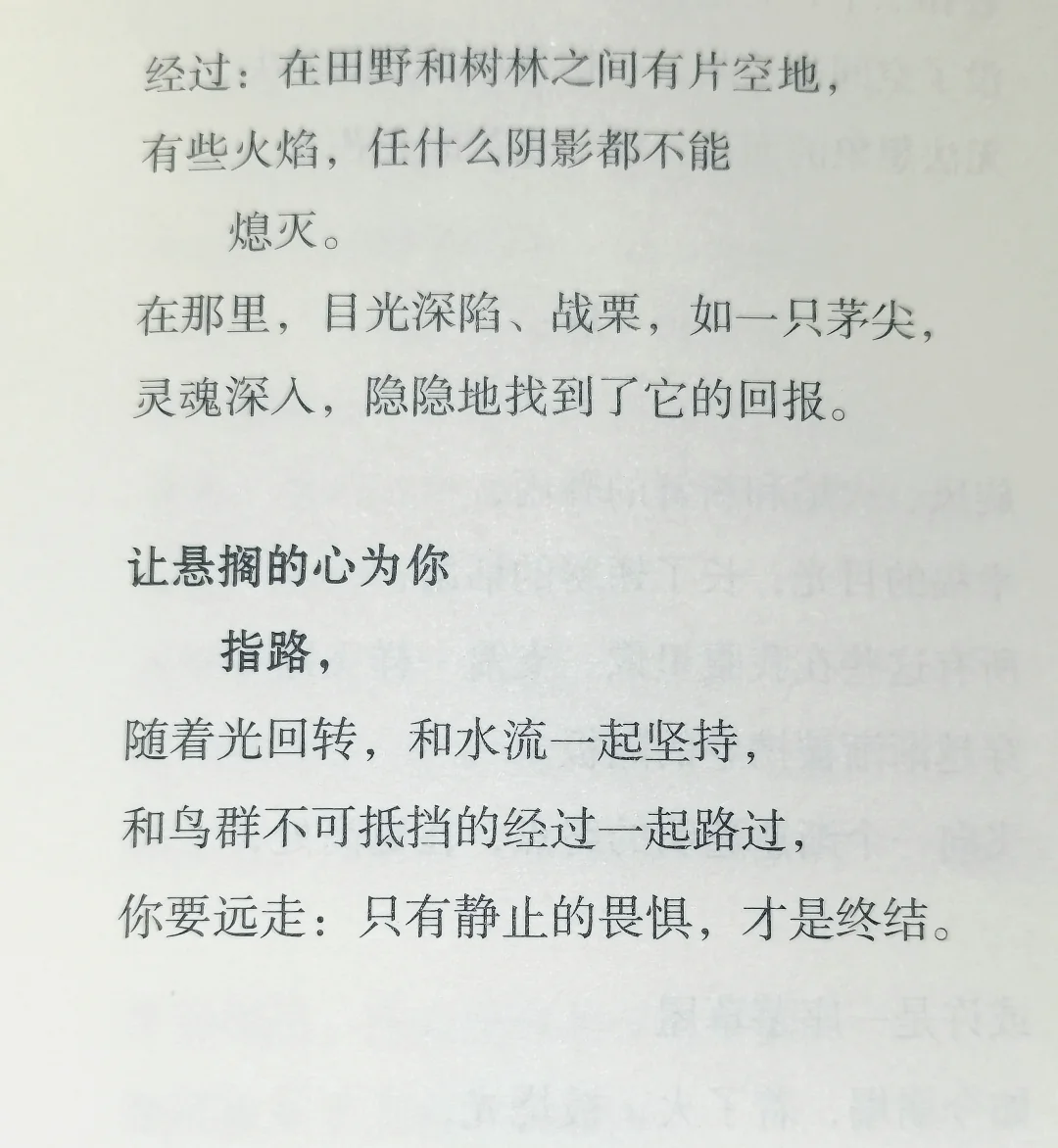 初三•努力备考中-第1张图片-四季读书网