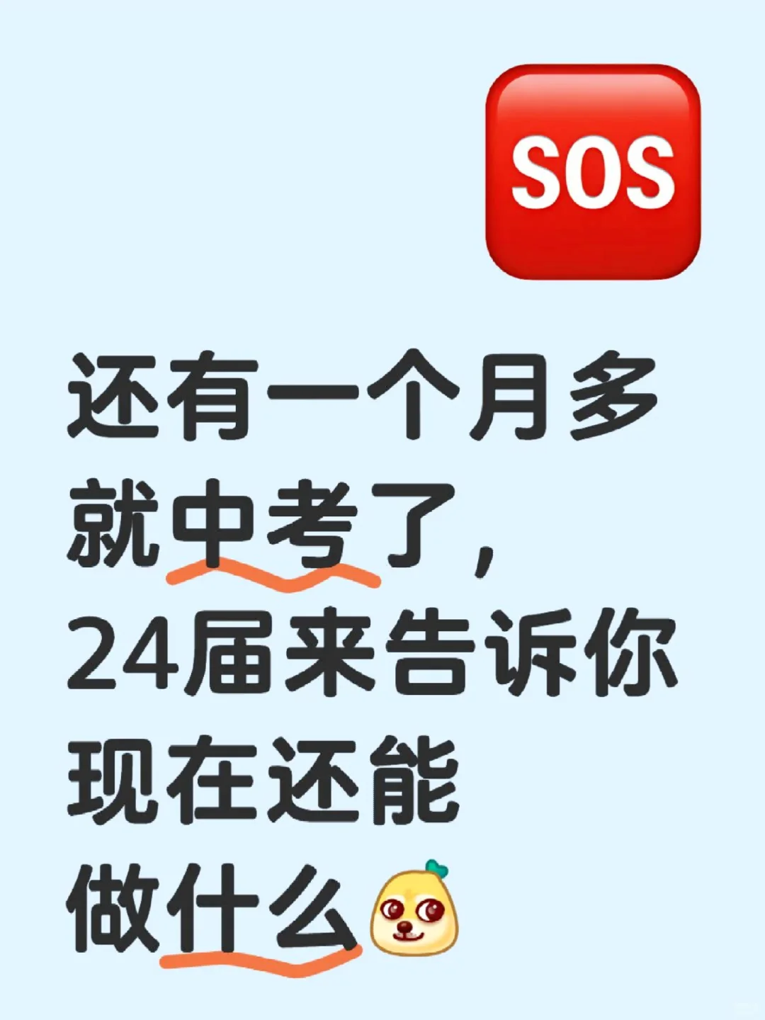还有一个月多就中考了,现在还能做什么呢 2-第1张图片-四季读书网 还有一个月多就中考了,现在还能做什么呢 2-第1张图片-四季读书网