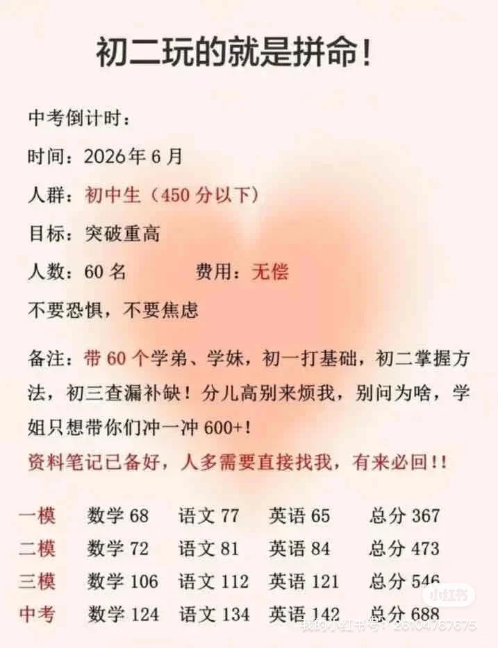 假如你从5月25日开始准备中考-第3张图片-四季读书网