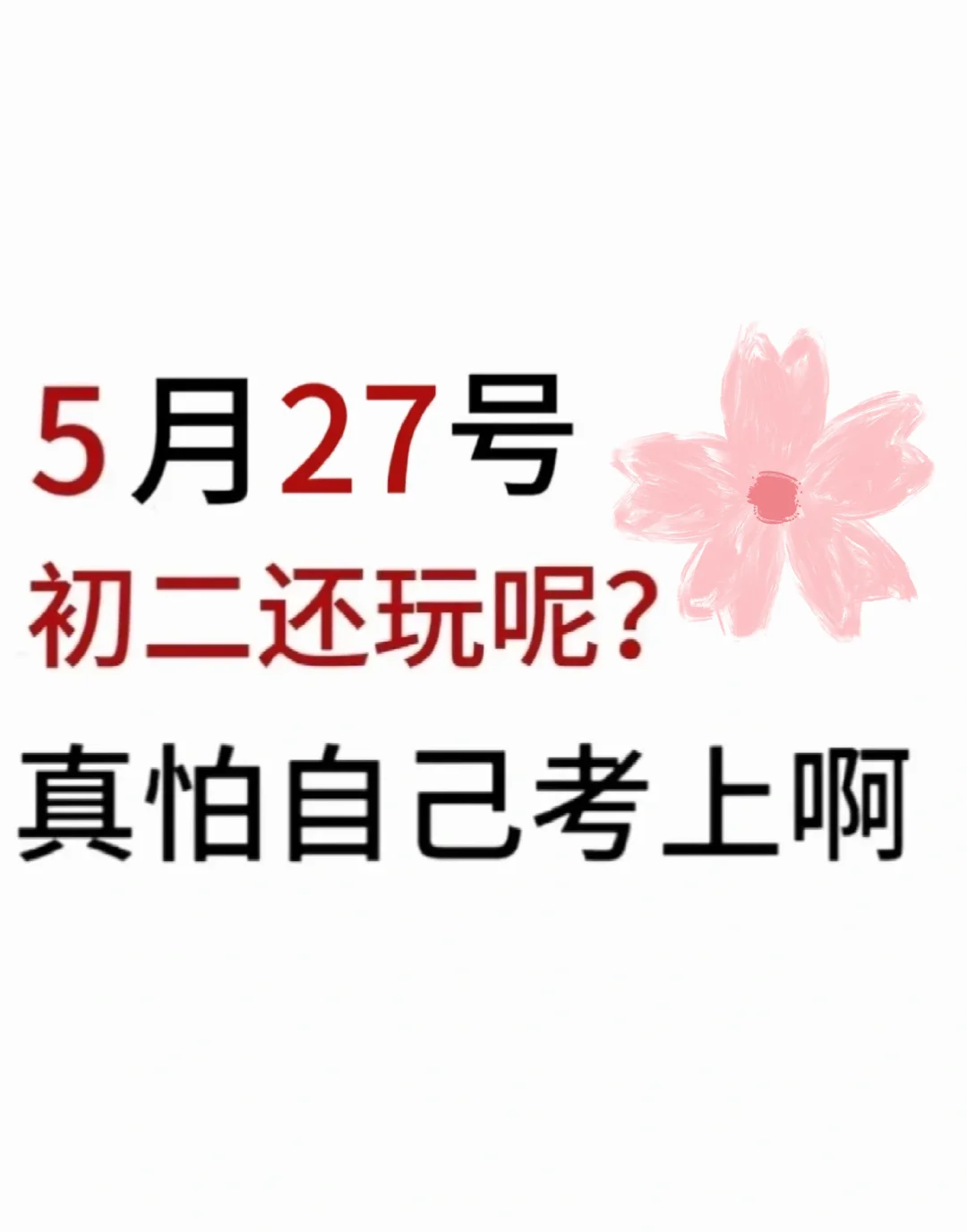 初二还玩呢真以为自己能考上啊...-第2张图片-四季读书网